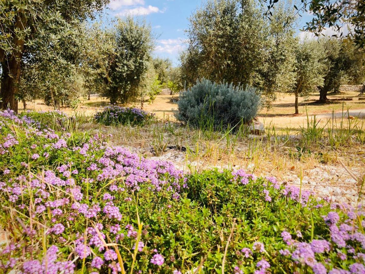 Trulli Acquasala - Apulian Country Experience Villa Ostuni Eksteriør billede