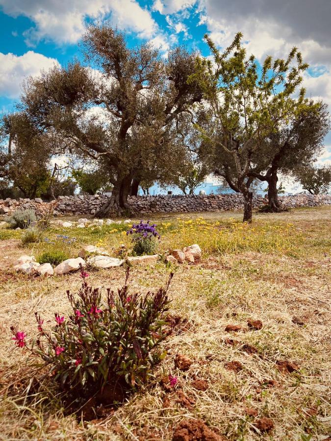 Trulli Acquasala - Apulian Country Experience Villa Ostuni Eksteriør billede