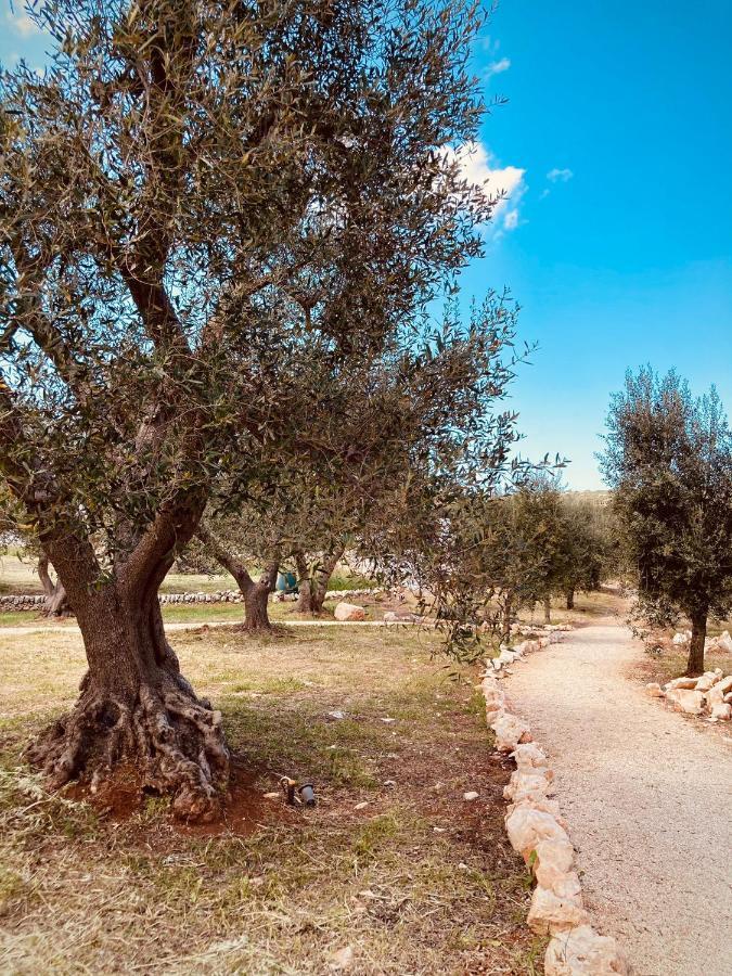 Trulli Acquasala - Apulian Country Experience Villa Ostuni Eksteriør billede